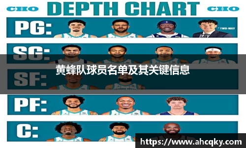 黄蜂队球员名单及其关键信息